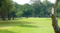 Apo Golf & Country Club - Green